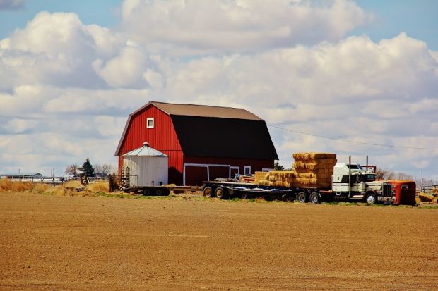 Barn